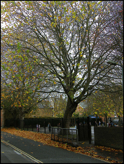 November in Jericho Street