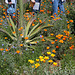 L.A. Garden Tour (6327)