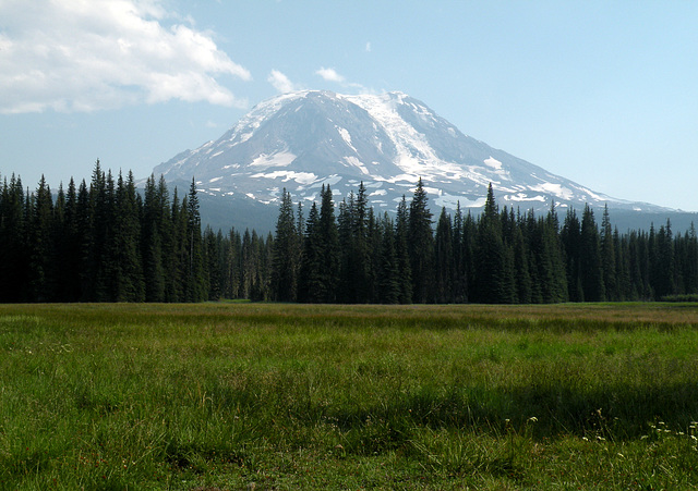 Mount Adams from Muddy Meadows