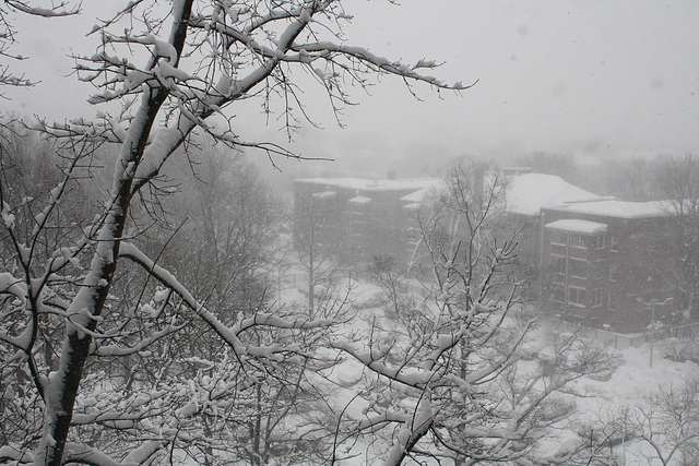 06.WhiteOut.Day.RiverPark.SW.WDC.10February2010