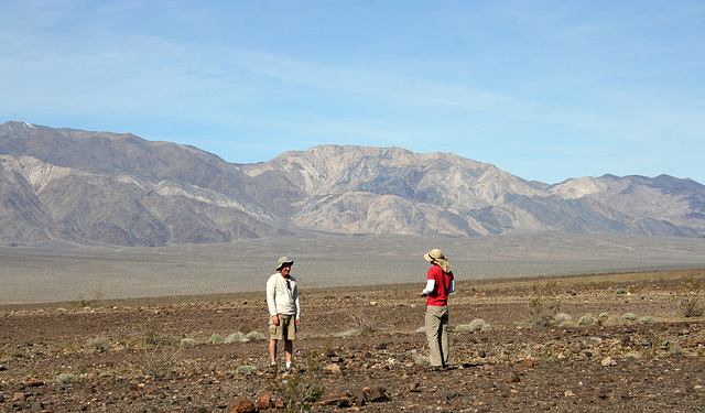 Panamint Valley (4732)