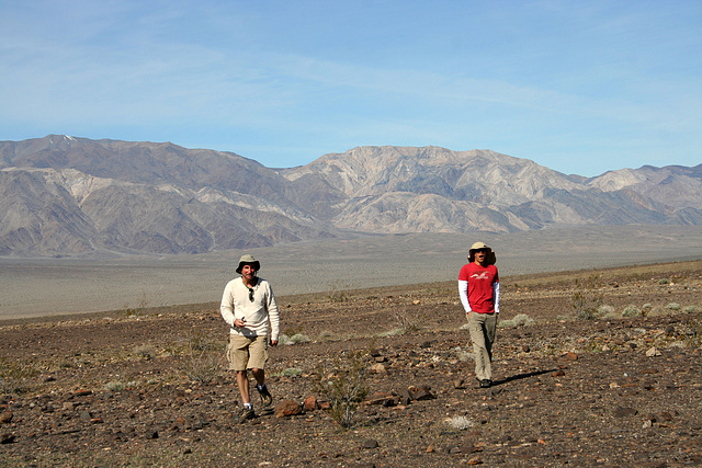 Panamint Valley (4733)