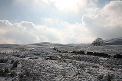 West Pennine moors in winter