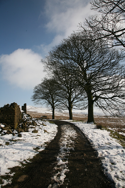 Moors above White Coppice