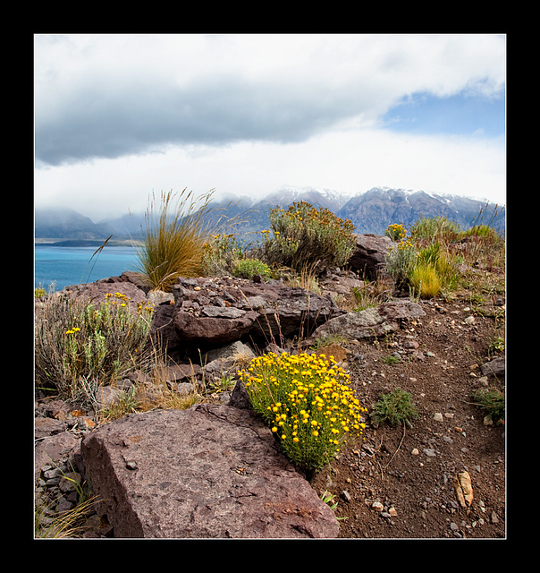 just stones and flowers