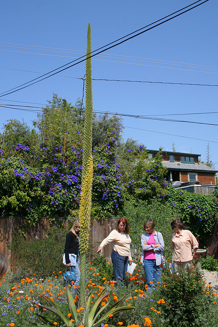 L.A. Garden Tour (6326)