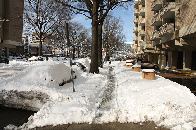 09.DayAfterSnowBlizzard.N4M.SW.WDC.7February2010