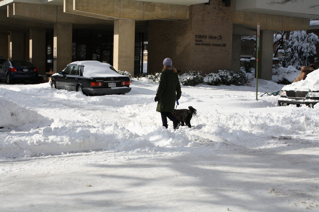 11.DayAfterSnowBlizzard.N4M.SW.WDC.7February2010