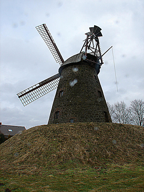 20100225 04844Aw [D~MI] Windmühle, Hille-Nordhemmern