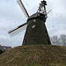 20100225 04844Aw [D~MI] Windmühle, Hille-Nordhemmern