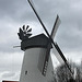 20100225 1480Aw [D~MI] Windmühle, Minden-Dützen