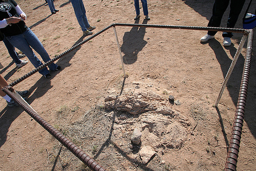 Trinity Site (5676)