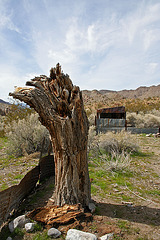 Barker Ranch (4934)