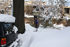 17.DayAfterSnowBlizzard.N4M.SW.WDC.7February2010