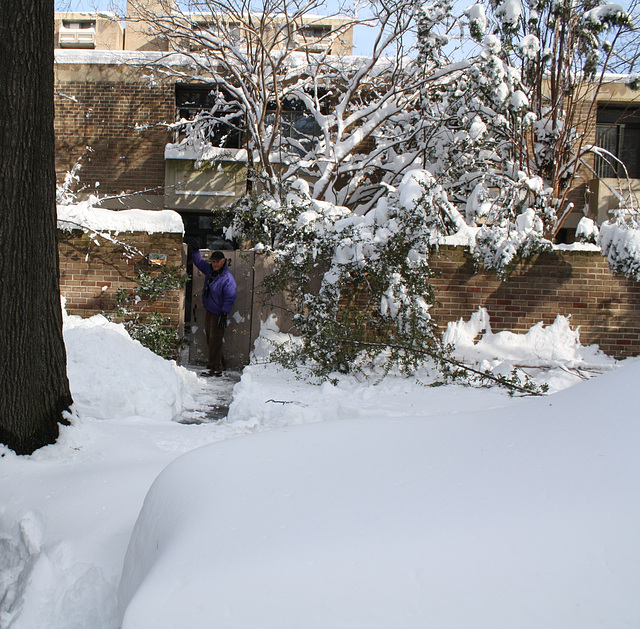 18.DayAfterSnowBlizzard.N4M.SW.WDC.7February2010