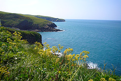 Port Isaac