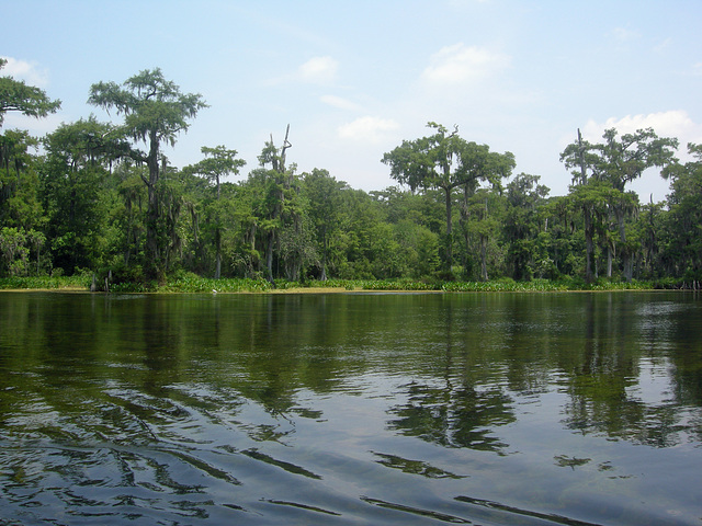 Wakulla Springs