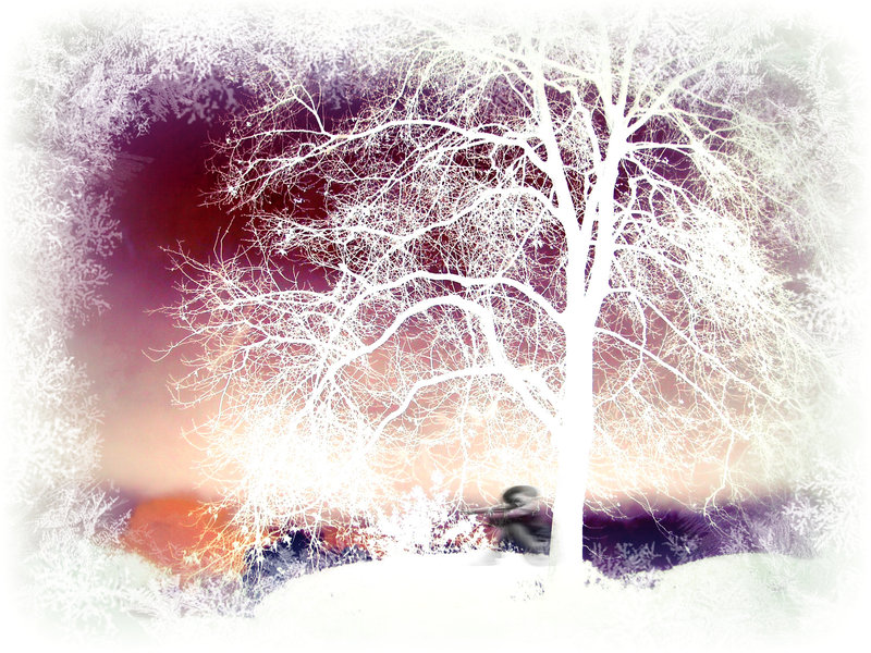 d'après WinterTree de mon ami  Blendo