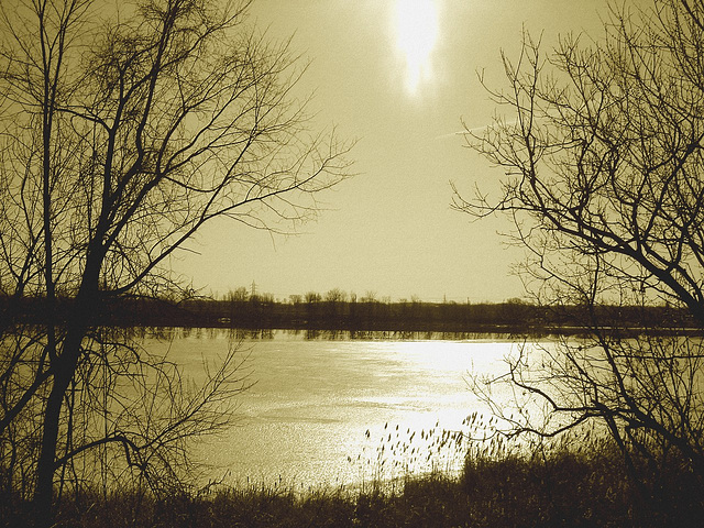 Reflet glacial de printemps /  Spring icy reflection - Hometown / Dans ma ville.  16 mars 2010.- Sepia