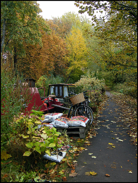 autumn at the moorings