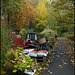 autumn at the moorings