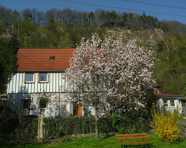 Häuser und Gärten im Frühling