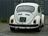 Beetle in Conwy (1) - 2 July 2013