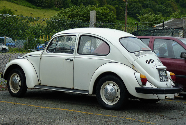 Beetle in Conwy (2) - 2 July 2013
