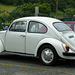 Beetle in Conwy (2) - 2 July 2013