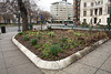 08.StevePhilGarden.DupontCircleEast.WDC.15March2010