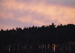 2010-03-26 Sonnenaufgang
