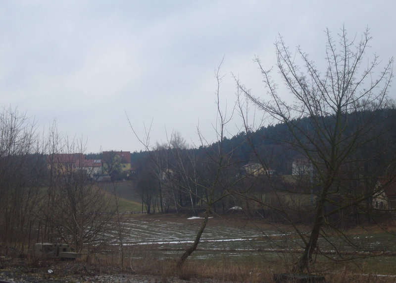 Winter ade