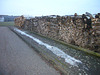 Winter ade