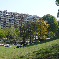 d'autre arbree d'autre arbree