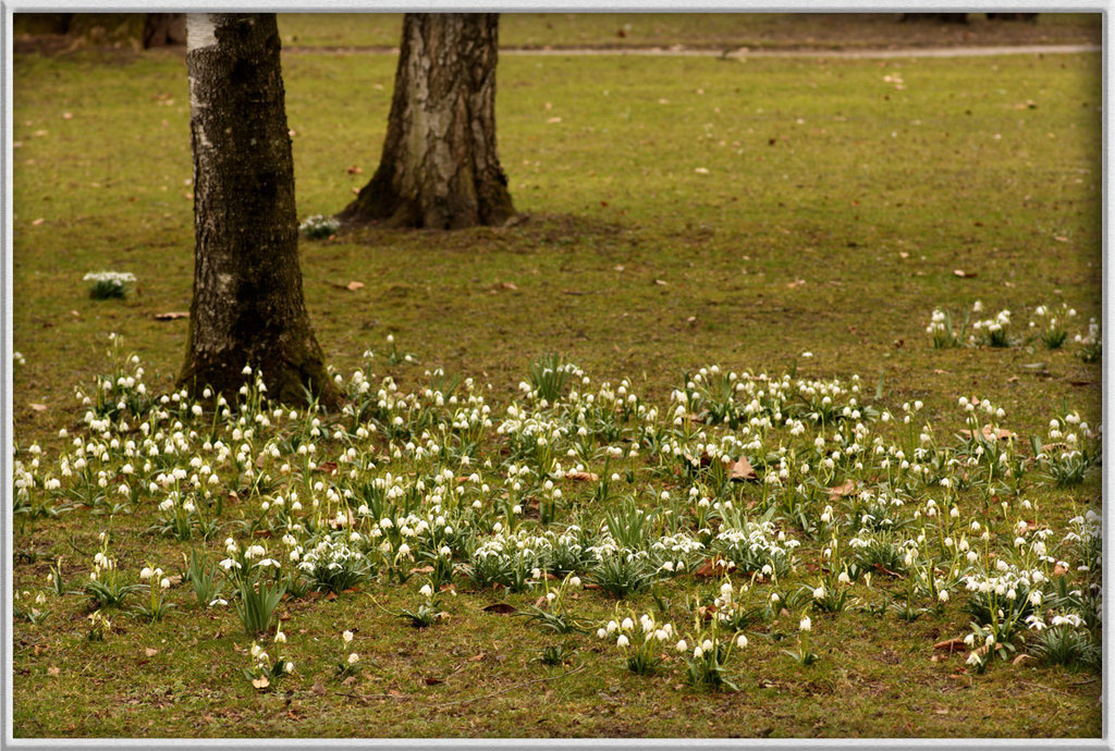 Frühlingserwachen