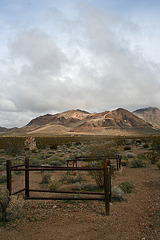 Rhyolite Cemetery (5255)