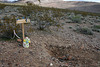 Rhyolite Cemetery - Outside The Fence (5306)