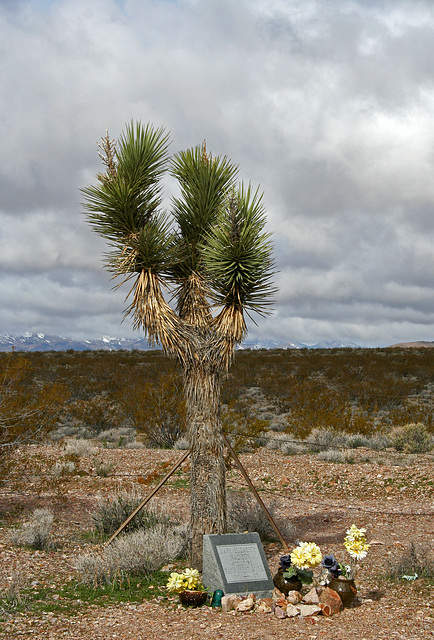 Rhyolite Cemetery - Panniment Anne (5300)