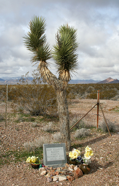 Rhyolite Cemetery - Panniment Anne (5301)