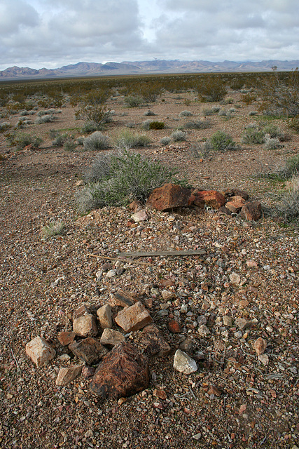 Rhyolite Cemetery (5257)