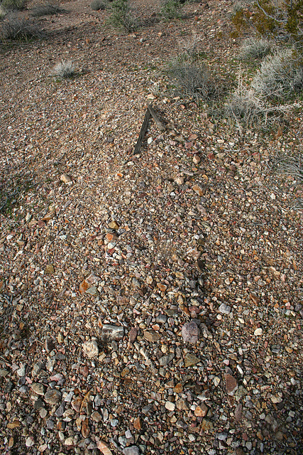 Rhyolite Cemetery (5258)