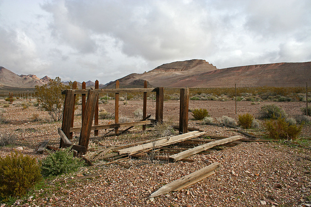 Rhyolite Cemetery (5259)