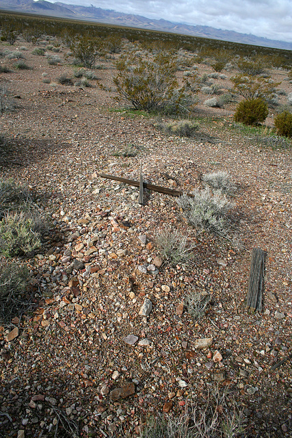 Rhyolite Cemetery (5260)