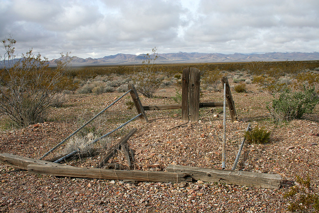 Rhyolite Cemetery (5263)