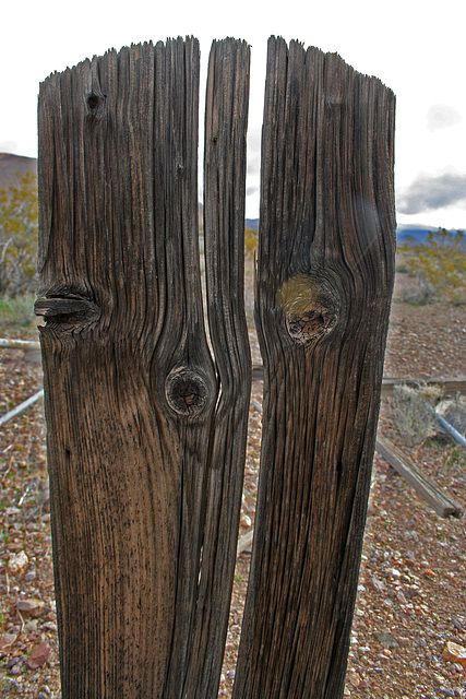 Rhyolite Cemetery (5265)