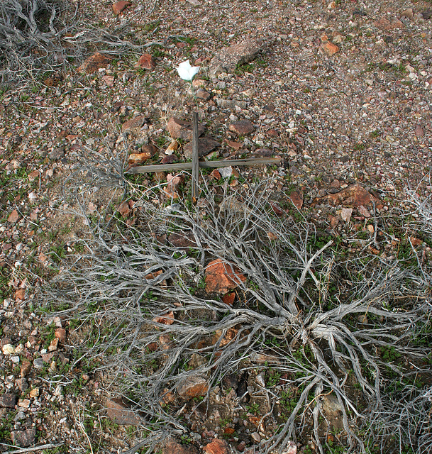 Rhyolite Cemetery (5266)