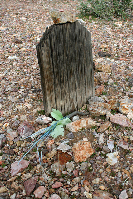 Rhyolite Cemetery (5267)