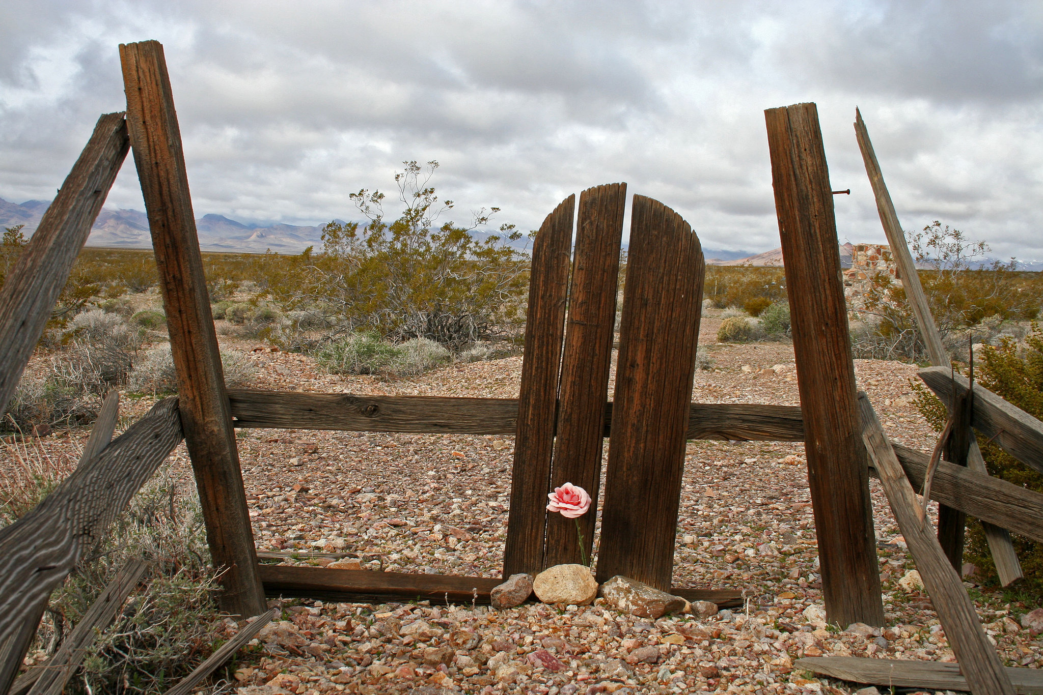 Rhyolite Cemetery (5268)