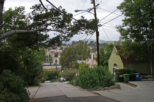 Ewing Street (6375)