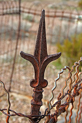 Rhyolite Cemetery (5271)